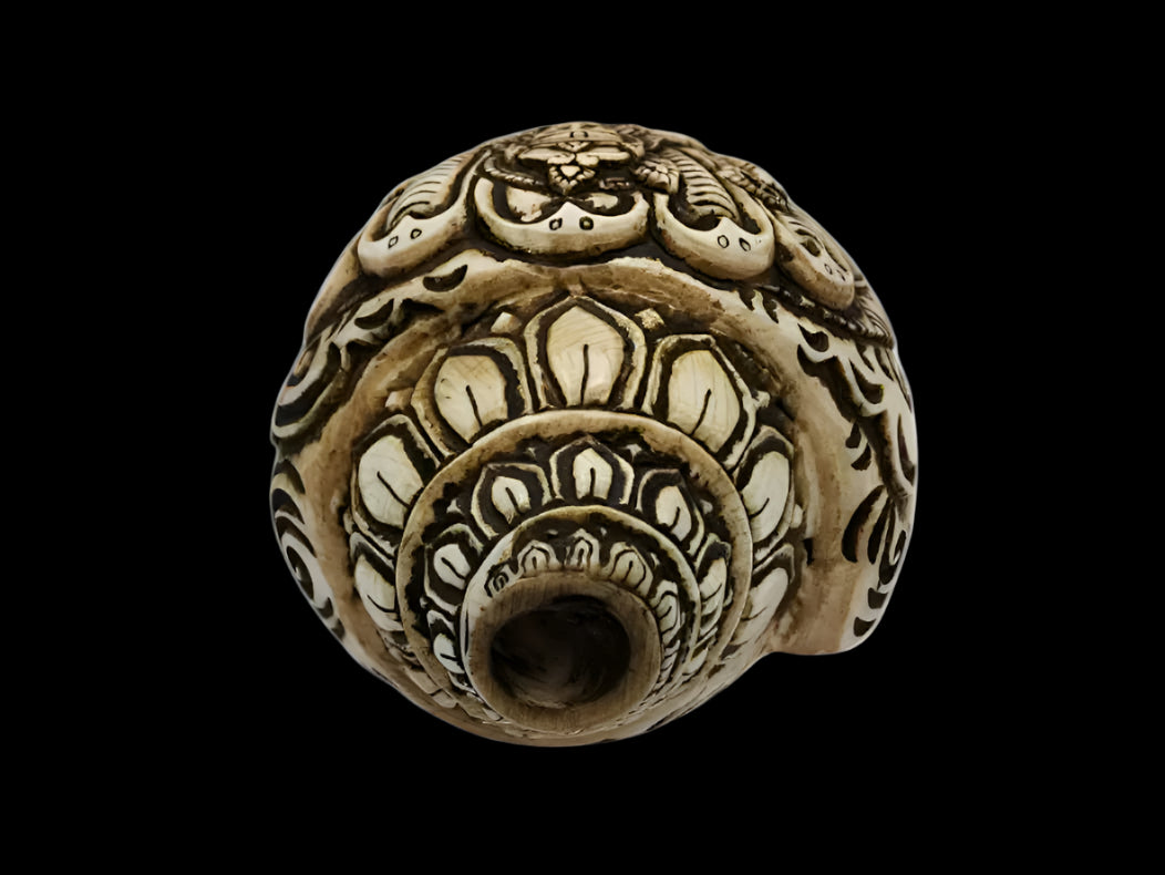 Hand-Carved Conch Shell (Shankha) – A Symbol of Sacred Tradition